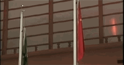 4.gif