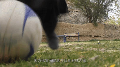 8.gif