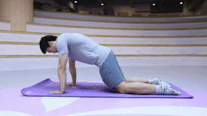 38.gif